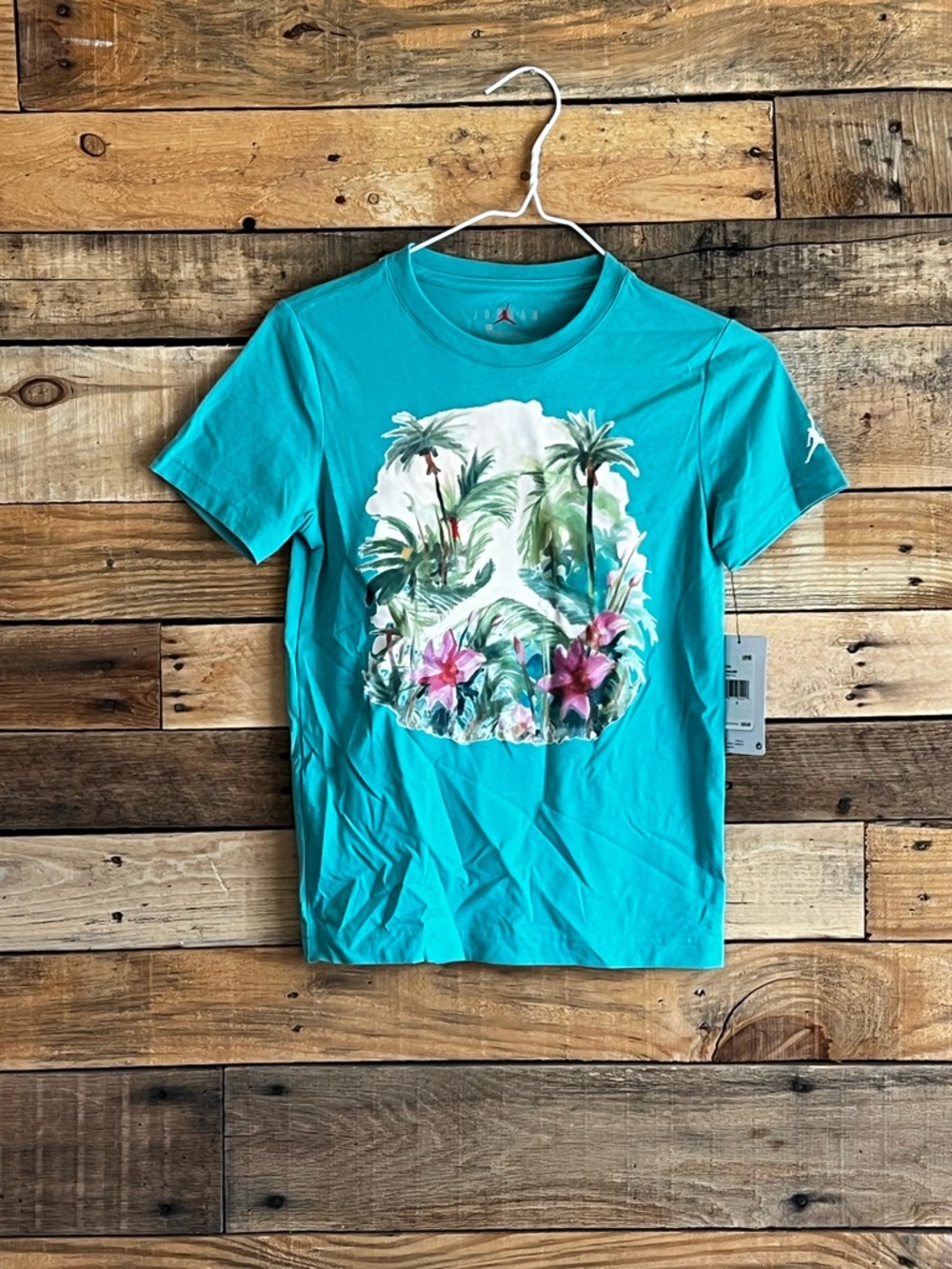 Jordan Teal Short Sleeve Graphic Tee